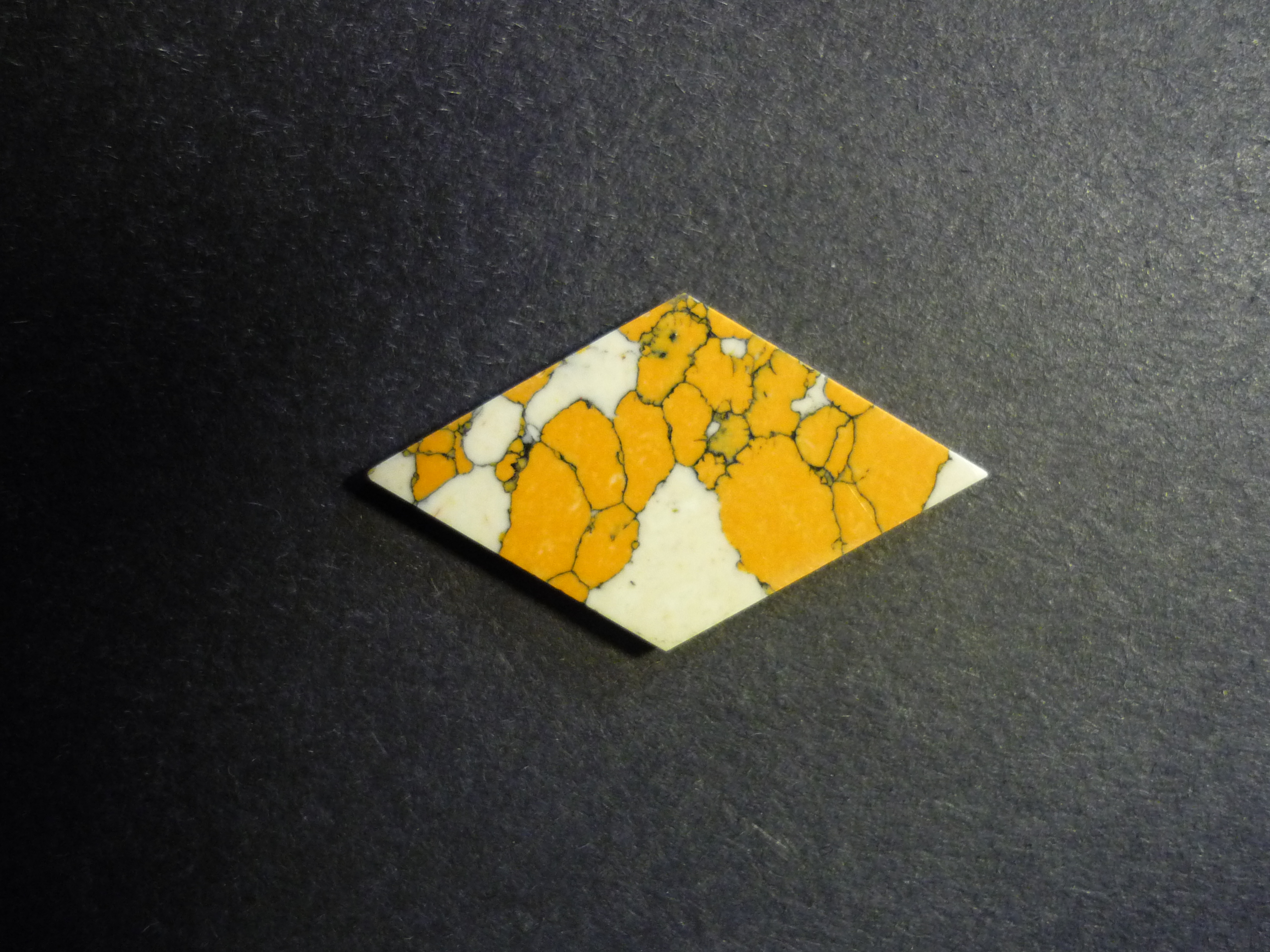 Escutcheon in Leopard Skin Jasper